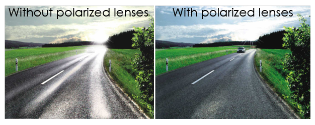 What are polarized lenses